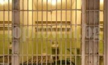 Искат постоянен арест за мъжа, пребил до смърт приятелката си в Айтос