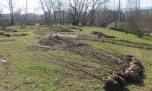 “Гора на новородените” ще бъде засадена край парк “Рила"