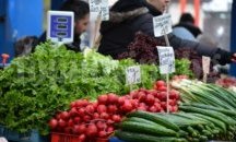 Започват масови проверки на вносните плодове и зеленчуци от Гърция