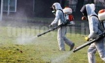 Пръскат срещу вируса Зика в Бургас