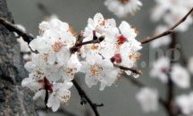 Подобрение на времето в края на седмицата се очаква в Русенско