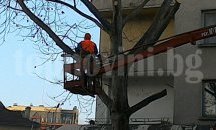 „Паркстрой“ започнаха основно почистване на детските площадки в „Мара Денчева“