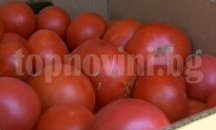 БАБХ спря вноса на 22 тона зеленчуци през "Кулата"