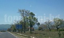 80-годишна жена почина, блъсната от камион