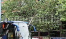 Започва подготовка на електроразпределителната мрежа за работа в зимния сезон