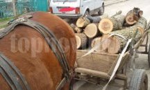Бракониери стреляха срещу горски край Несебър, по чудо няма жертви