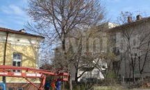 20-годишен явор заплаши Дома на художниците в Плевен