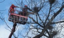 Паднали клони и скъсани жици причини силният вятър в Стара Загора