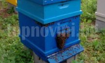 Запалиха три пчелни кошера във Ветово