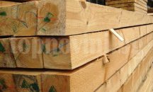 Нов електронен търг за продажбата на дървесина обяви Северноцентрално държавно предприятие