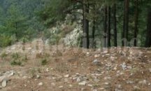 Изградиха и възстановиха 100 км пътища на територията на ЮИДП – Сливен
