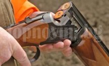 Убит без разрешение благороден елен е открит в землището на село Божурово