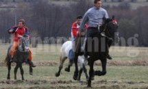 С конни състезания честват Тодоровден в Стара Загора