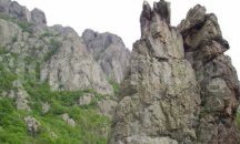 Дават началото на кампанията “Аз пазя горите и орлите на България”