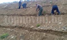 В Левски, Искър и Никопол проведоха трудови борси за селскостопански работници