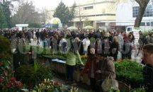 Дизайнът на градината е акцент на „Цветна пролет 2016“ в Пловдив