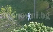 В Пловдив пръскат 6 000 декара тревни площи срещу кърлежи
