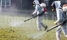 Пръскат срещу кърлежи на "Лаута" в понеделник, пазете дистанция