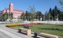 Община Плевен предприема специални мерки срещу джигитите в Кайлъка
