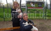 Две трети от собствениците на домашни кучета в "Южен" са изрядни