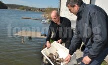 4 500 нови "жители" в езерото в лесопарка "Липник", проектират обновяване на района