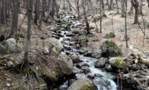 Слънчев уикенд на Витоша приветства туристите