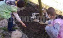 В градина "Монтесори" в Добрич деца със специални потребности отглеждат цветя
