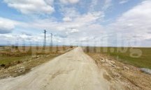 Засаждат кипариси по пътя Стара Загора - Раднево