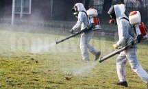Започна обработката на зелените площи в Шумен