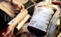 Спешно се търси кръв от най-рядката кръвна група за жена в тежко състояние в Добрич