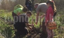 В Седмицата на гората залесиха 8000 фиданки в „Аспарухово”