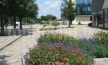 Започва пролетното почистване в Гълъбово