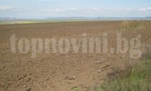 Земеделците в Разградско започнаха сеитбата на слънчогледа и царевицата