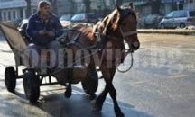 Каруците в Поморие успешно преминаха технически преглед