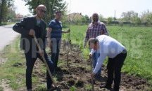 60 тополи в Тополчане залесиха предприемачи ГЕРБ – Сливен