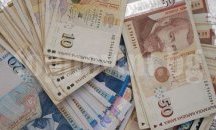 7 проекта за 45 000 лв. спечели община Русе в конкурса „Обичам природата и аз участвам-2016“
