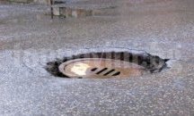 Осъдиха Общината в Добрич да плати потрошен заради шахта автомобил