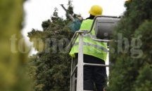 Започна резитбата на кипариси в „Градината на боговете” в Балчик