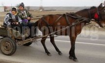 Пратиха каруци на наказателен паркинг в Пловдив