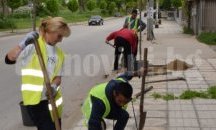 Нови дръвчета и розови храсти засадиха в Горна Оряховица в рамките на пролетното залесяване