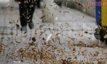 14 области с жълт код за опасно силен вятър