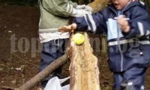 Още две бургаски детски градини ще възпитават малчуганите в любов към природата