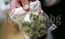Хванаха двама с канабис в двора на детска градина в Добрич