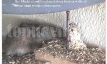 В Пловдив дискутират биотерористични атаки и разпространение на зарази
