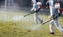 Започва пръскането срещу кърлежи в Добрич