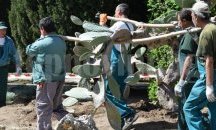Изнасят на ръце 300-килограмови кактуси в Ботаническата градина в Балчик