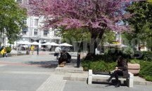 Започва международната среща на туроператорите в Пловдив