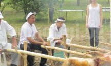 На Гергьовден в Шабла ще се състезават по стригане на овце и доене на кози