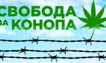Пациентски и браншови организации излизат на марш „Свобода за конопа“