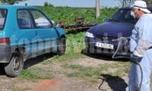 Избраха площадка за загробване на животни заради нодуларния дерматит в Добри дол